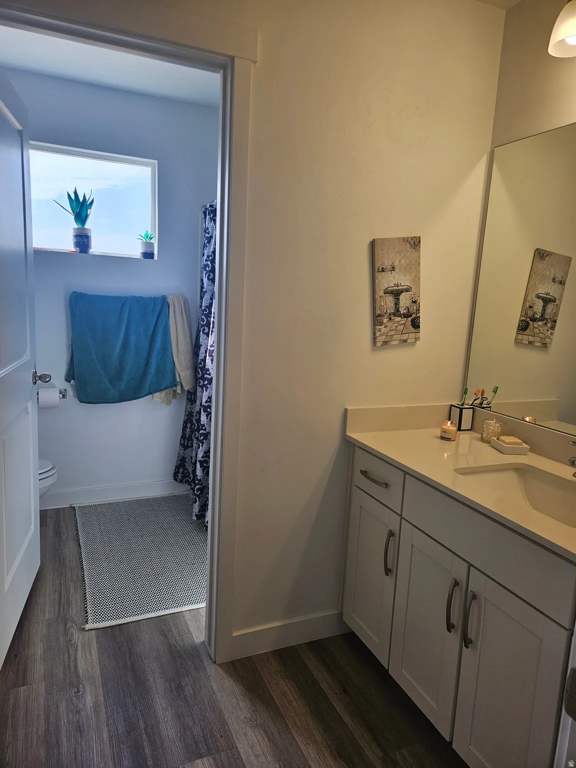Wood-finish flooring throughout, white shaker-style vanity with built-in storage, light-colored countertop, and a recessed rectangular sink