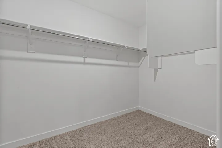 Closet featuring neutral carpeting, white walls, and built-in shelving with a metal hanging rod
