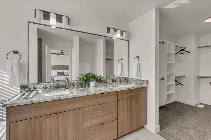 Double vanity with two undermount sinks, wood-finish cabinetry, and a stone countertop