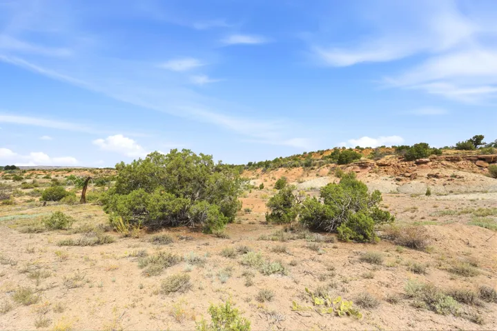 Expansive desert landscape featuring natural rock formations and varied scrub vegetation