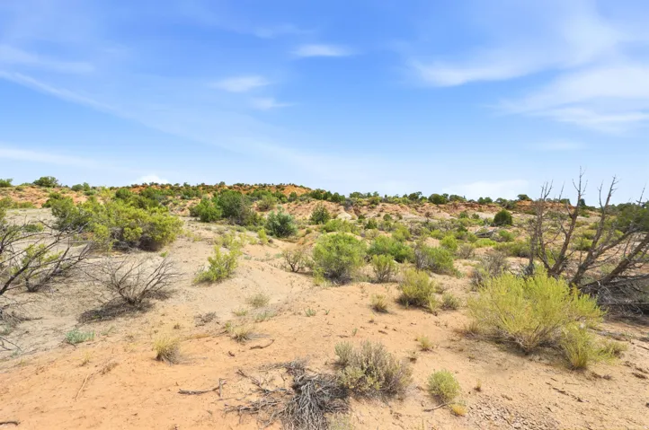 Expansive desert landscape with natural terrain and varied vegetation