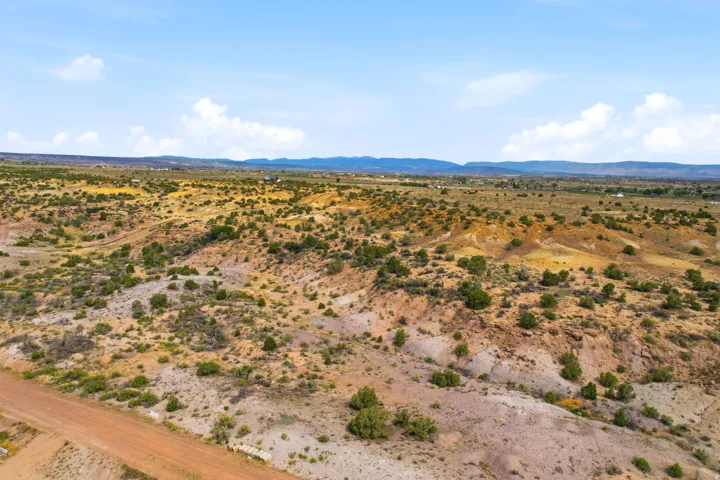 Expansive open land featuring diverse desert vegetation, rolling terrain, and distant mountain ranges