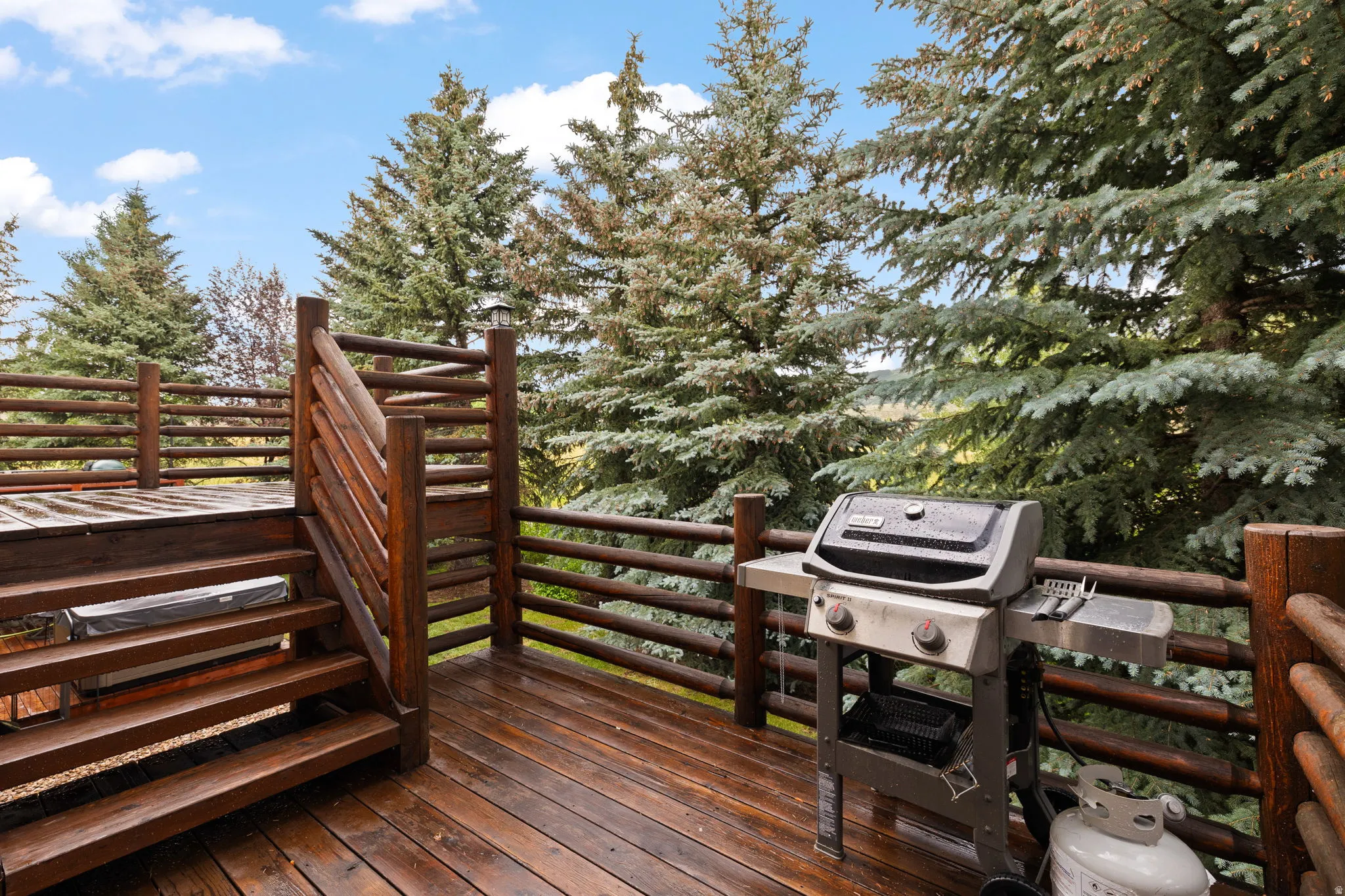 Expansive outdoor deck featuring wood flooring and rustic log railings