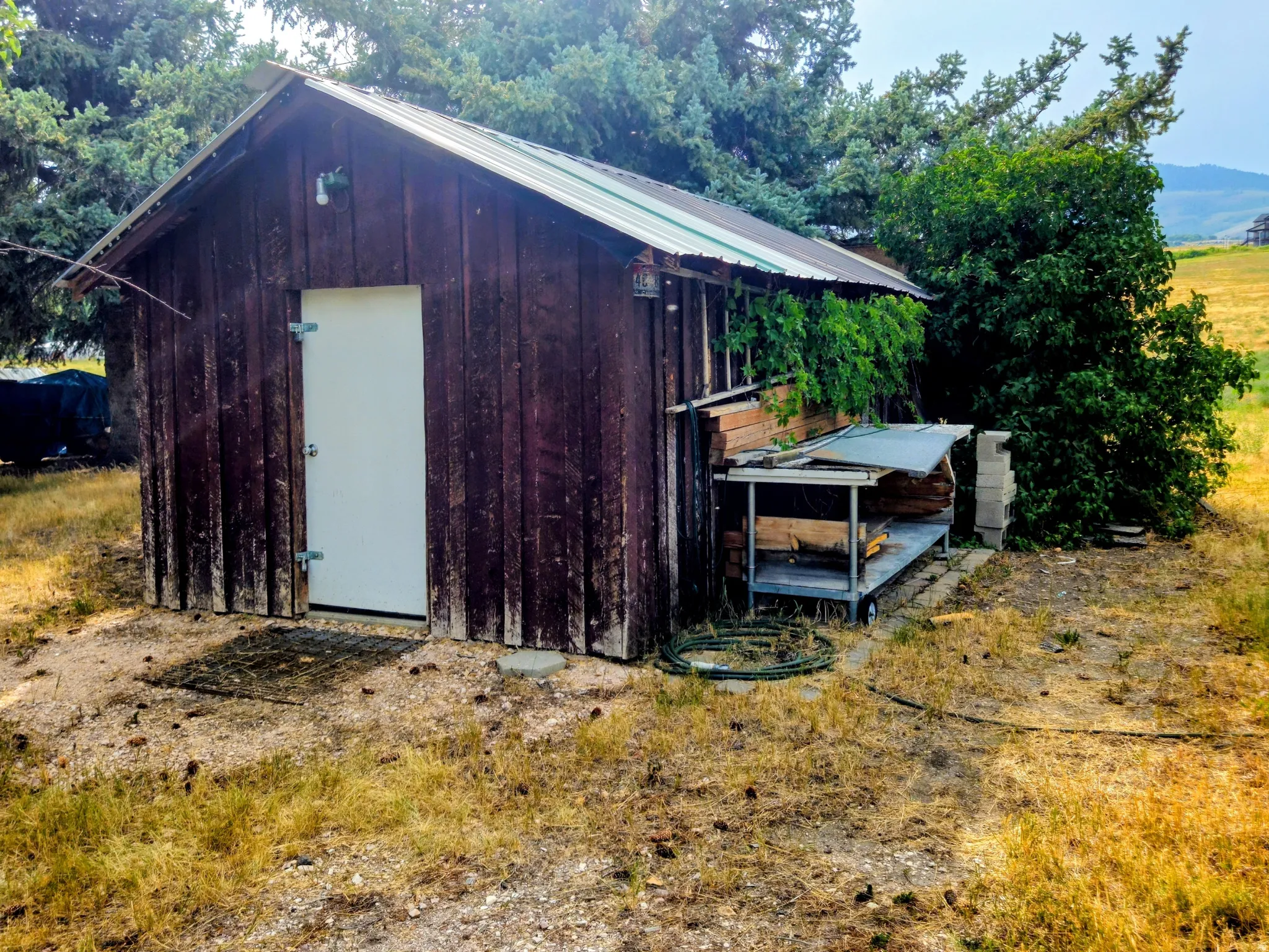 Wood-sided outbuilding with a white entry door and a metal roof