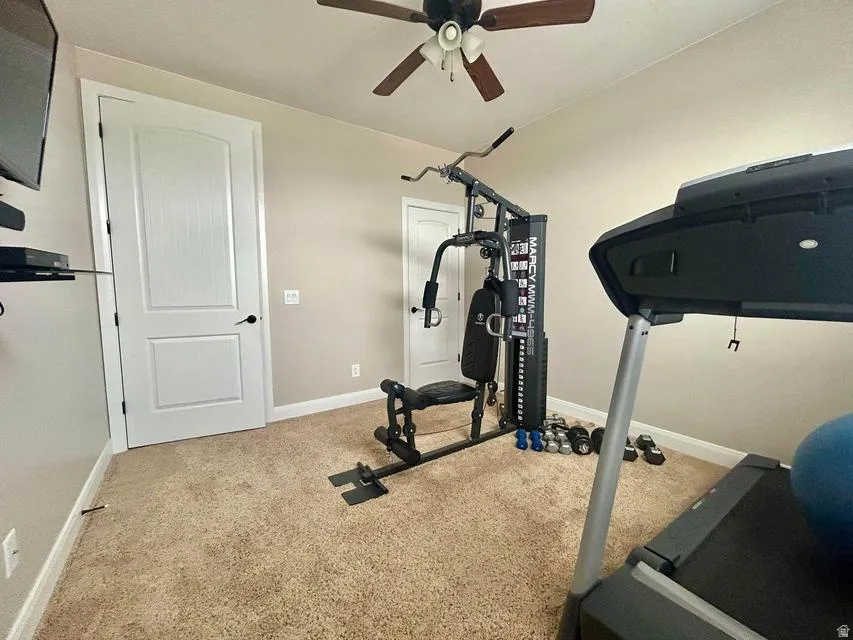 Carpeted flooring, two paneled doors, ceiling fan with integrated lighting