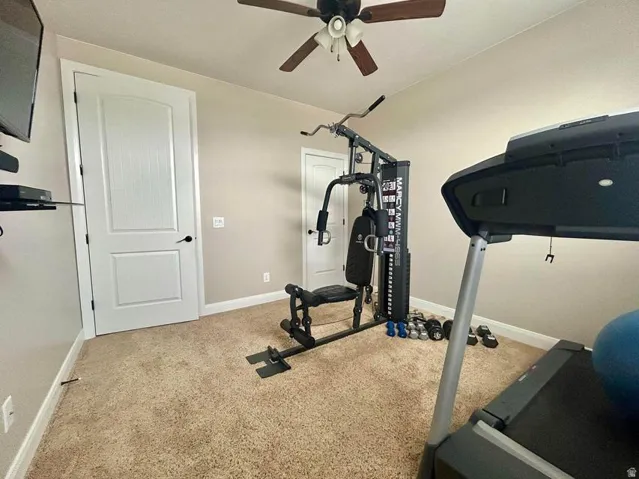 Carpeted flooring, two paneled doors, ceiling fan with integrated lighting