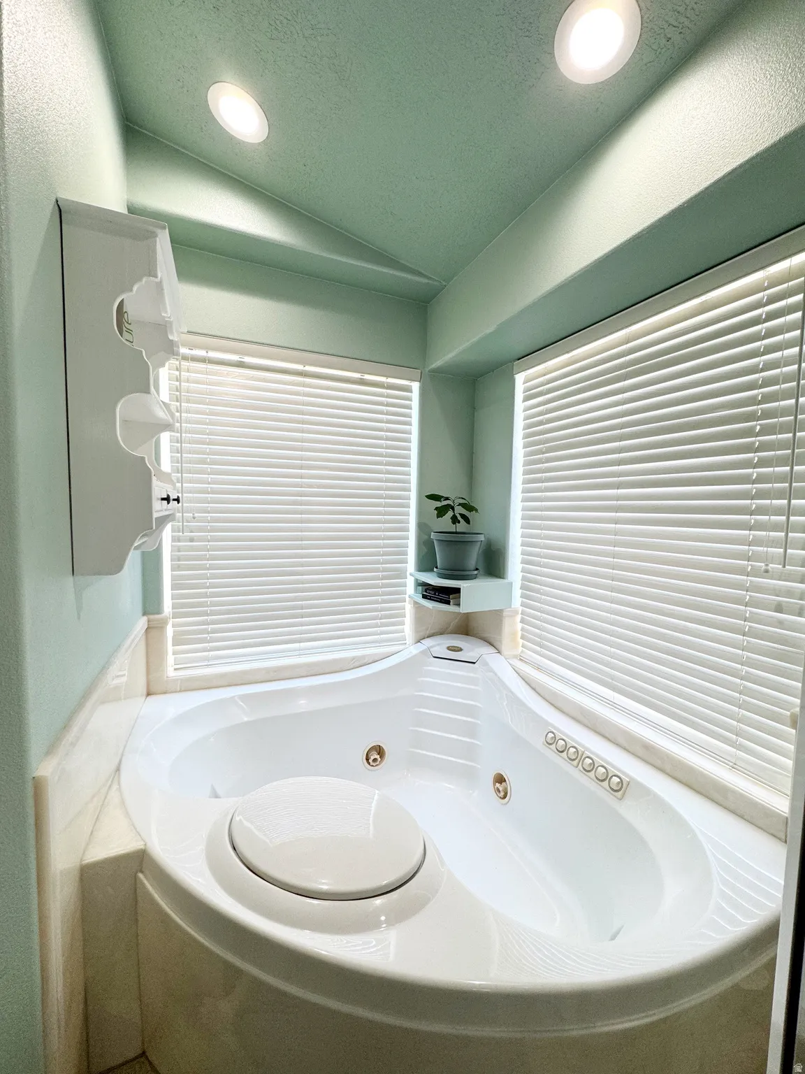 Corner jetted tub featuring integrated controls and natural light from two windows
