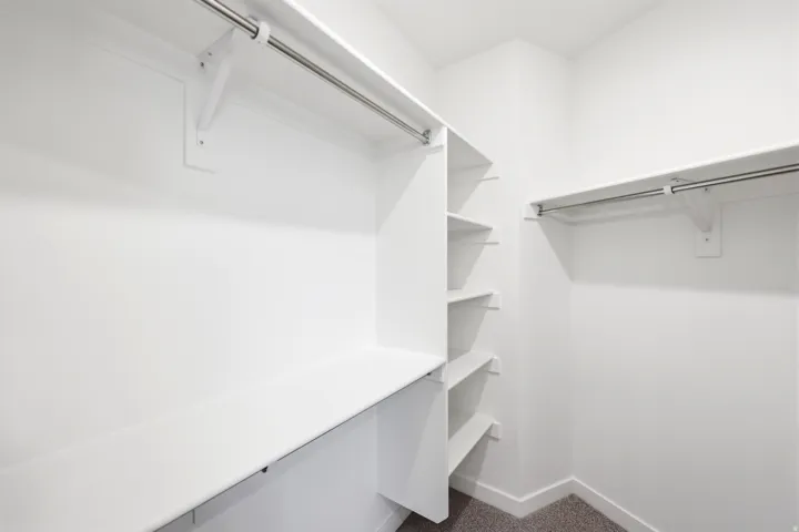 White walk-in closet featuring built-in shelving, hanging rods, and carpeting