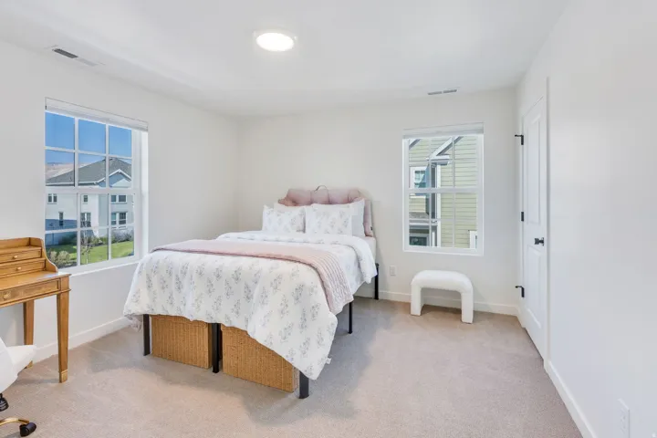 Bright room with two windows, a ceiling-mounted light fixture, and neutral-toned carpeting