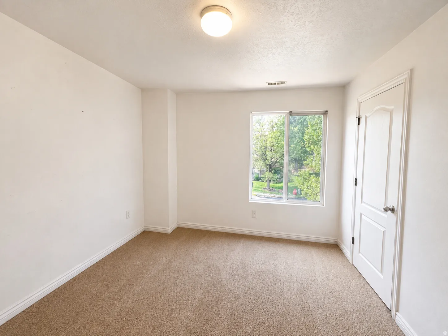 Neutral wall finishes, plush carpeting, bright window, and paneled door