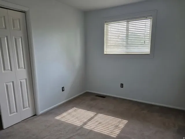 Neutral wall paint, carpeted flooring, window with horizontal blinds, and a bi-fold panel door
