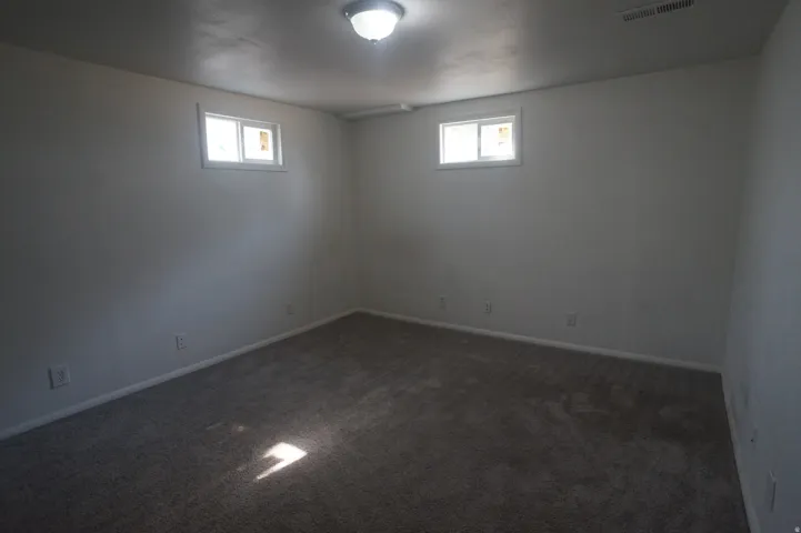 Carpeted flooring, white walls, two windows, and overhead lighting