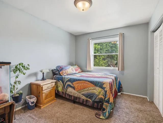Carpeted flooring, a window with exterior views, and a bi-fold closet