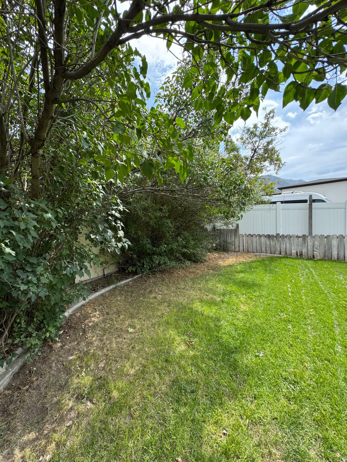 Expansive grassy area with established perimeter landscaping and a partial privacy fence