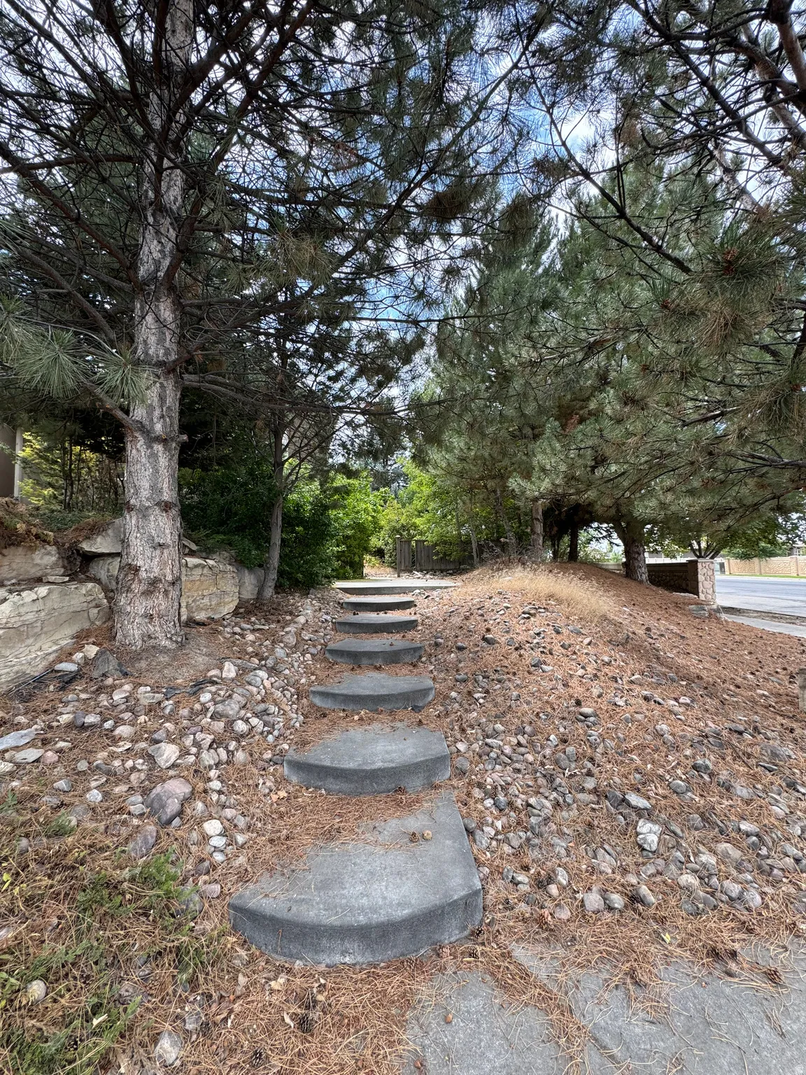 Tiered stone steps with surrounding mature trees and natural ground cover