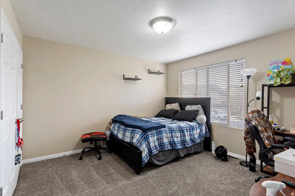 Carpeted room with a ceiling-mounted light fixture, dual windows with blinds, and two wall-mounted shelves