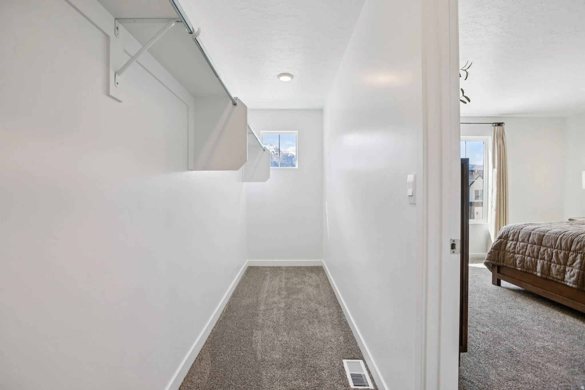 Closet featuring built-in shelving, carpet flooring, a recessed ceiling light, and a window with natural light