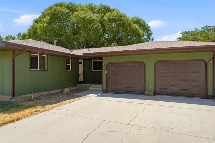 Two-car garage with panel-style doors, concrete driveway, and green exterior siding