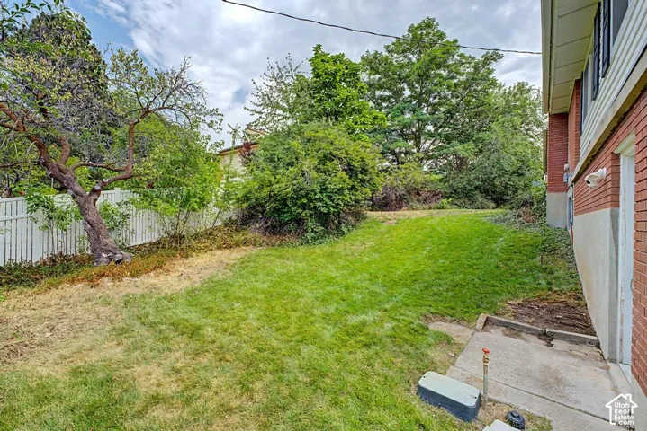 Backyard looking to the east