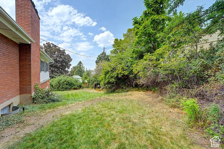 Mature vegetation provides lots of privacy. Backyard looking to the west.