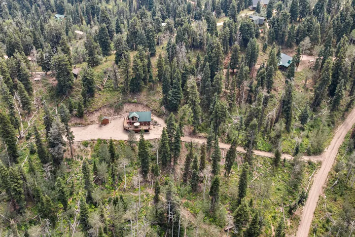 Wooded property featuring multiple structures and unpaved access roads