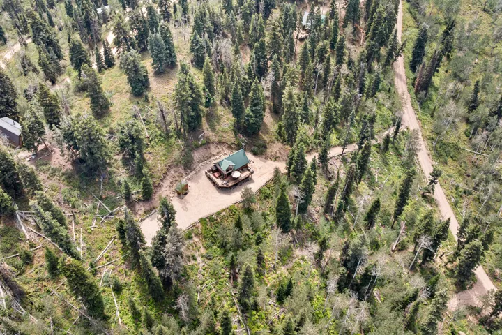 Wooded surroundings with a gravel driveway and pathways