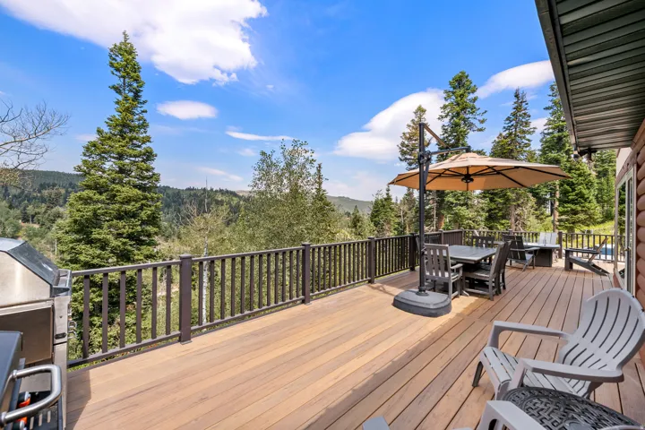 Expansive wood-finish deck with dark-toned railings and a built-in grill area, offering distant tree-lined scenery