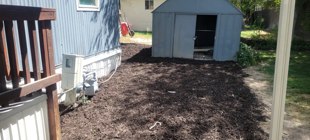 Landscaped area with dark mulch and a metal storage shed