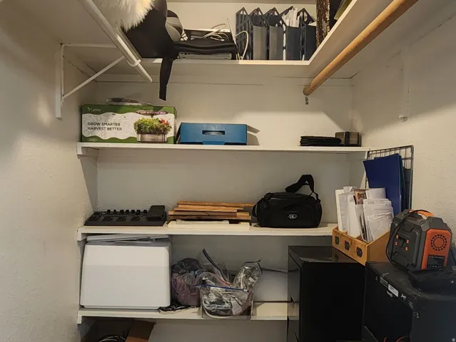 Built-in shelving, hanging rod, and ceiling-mounted light fixture