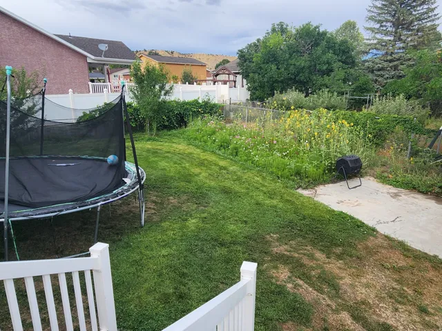 View of garden