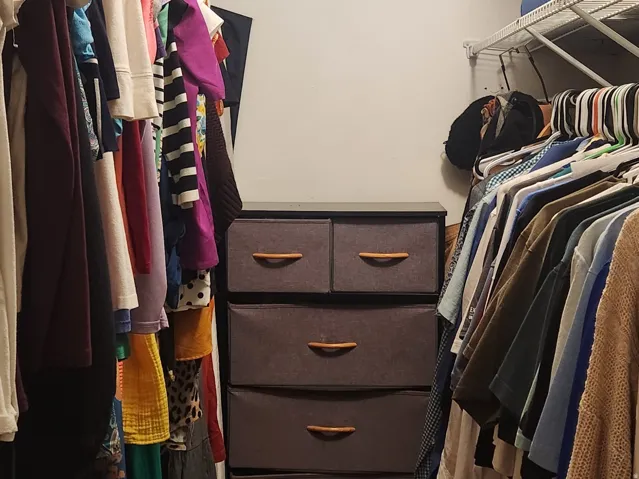 Primary bedroom walk in closet