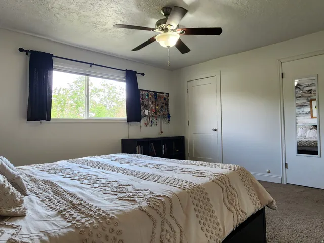Double-pane window, ceiling fan with integrated lighting, two white panel doors, and neutral carpeting