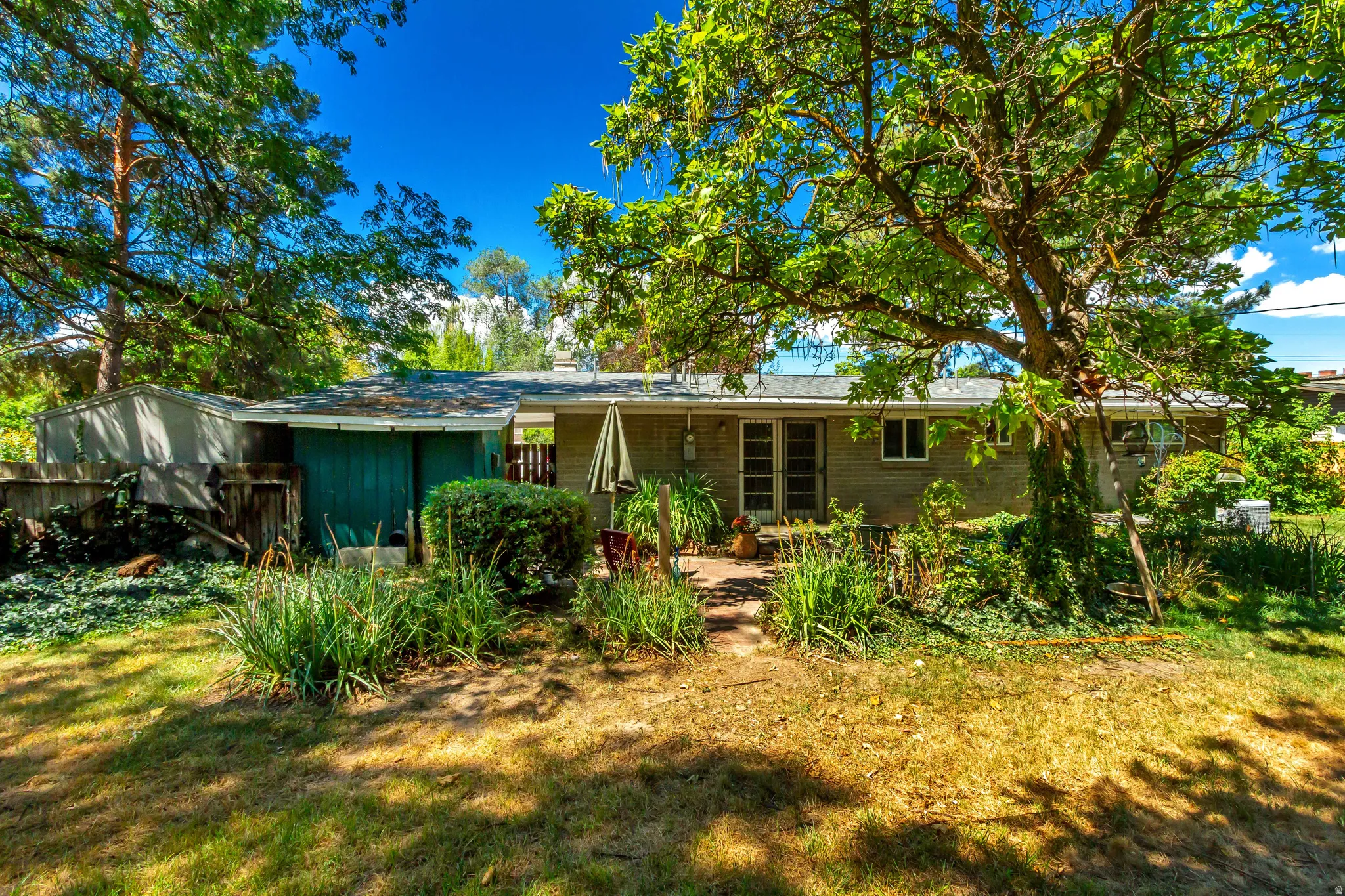 Expansive backyard featuring mature trees, a dedicated patio area, and lush plantings