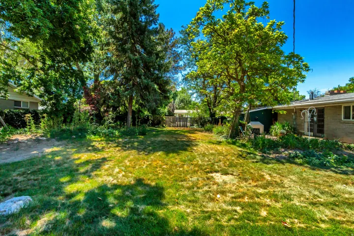 Expansive lawn with mature trees and established landscaping