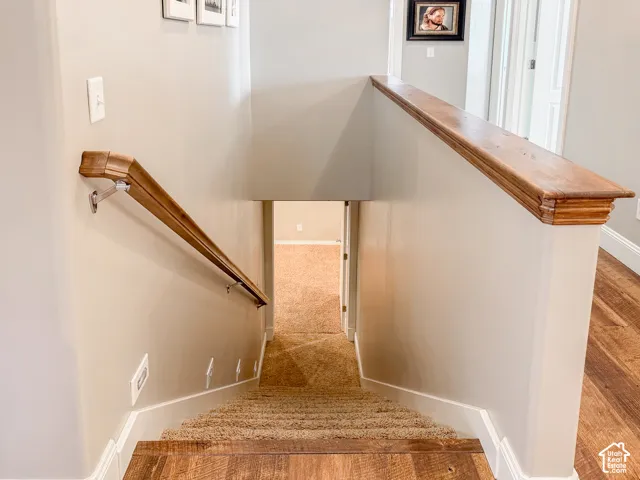 Carpeted staircase with wood-finish treads and risers, complemented by a wood handrail