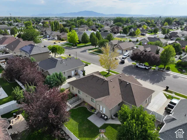 Shingled roof lines, green lawn, paved driveway, and established trees