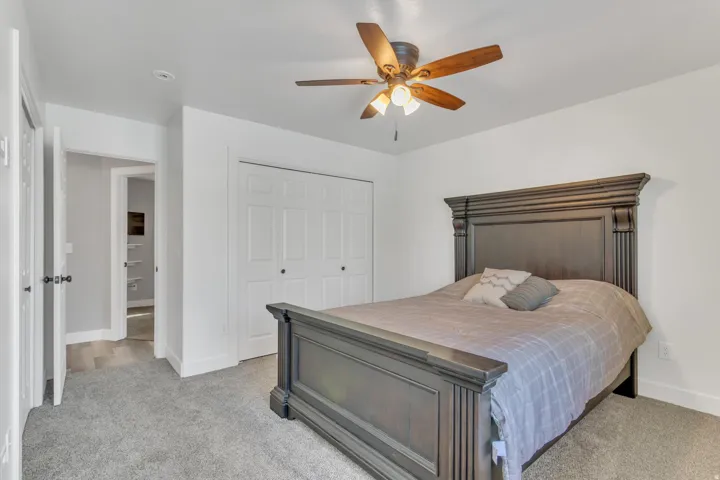 Neutral wall color, carpet flooring, ceiling fan, bi-fold closet doors, and wood-finish flooring in the hallway