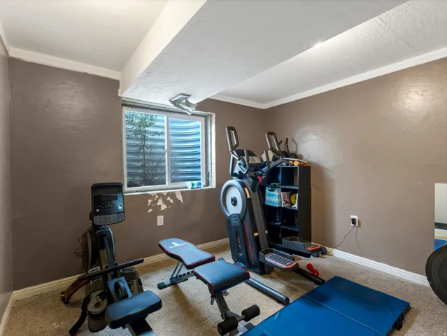 Carpeted room with a window, crown molding, and neutral wall tones