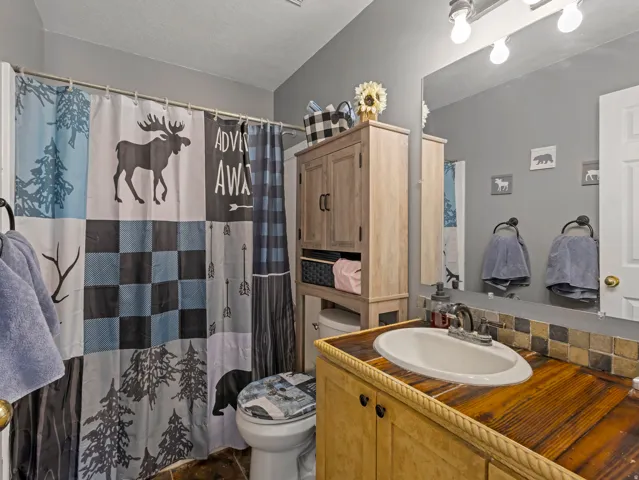 Wood-finish countertop with an undermount sink, a large vanity mirror, and built-in vanity lighting