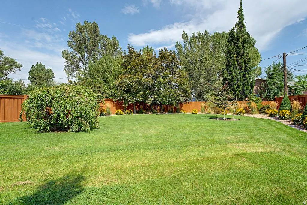 Expansive grassy yard featuring a wood fence, mature trees, and established landscaping