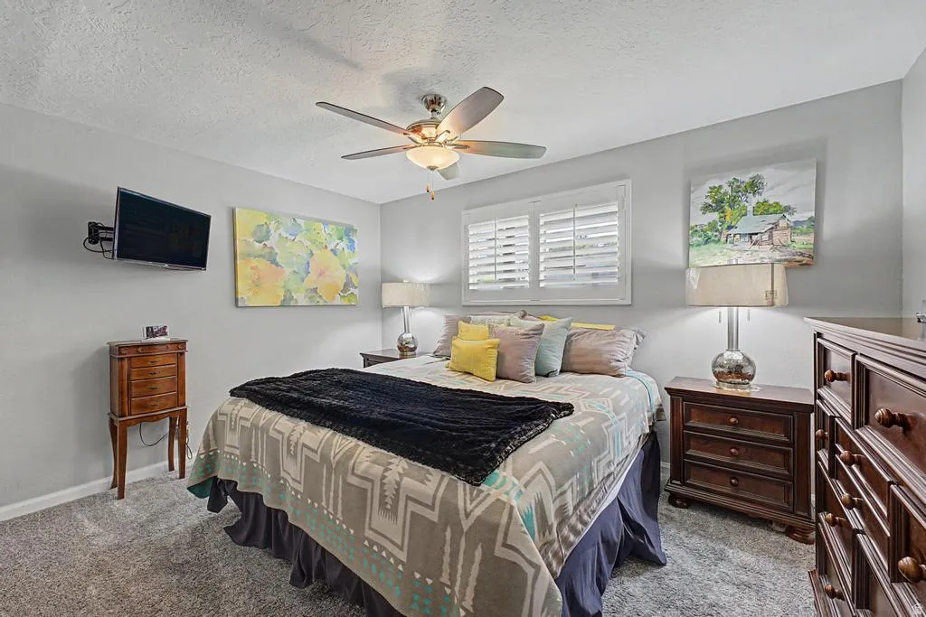 Window with white louvered shutters, ceiling fan with light fixture, wall-mounted television bracket, carpeted flooring, and gray wall color