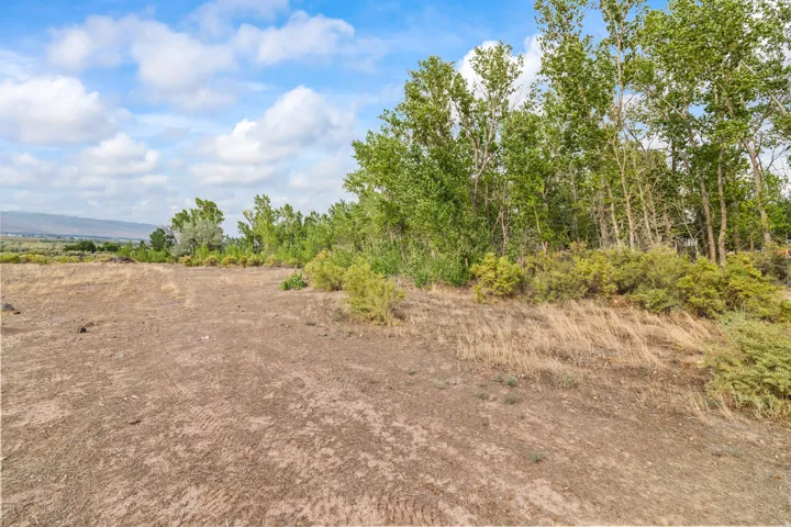 Expansive undeveloped property featuring mature trees and distant mountain scenery