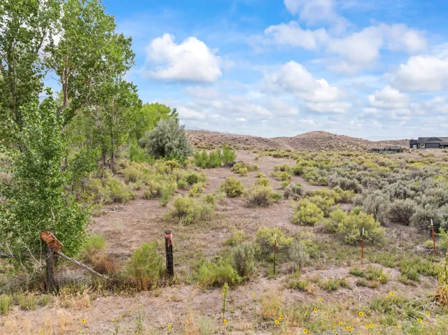 Expansive open land featuring diverse natural foliage and distant structures