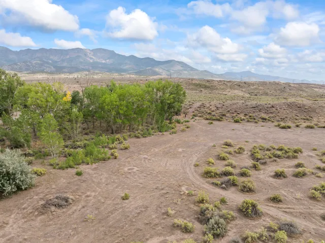 Expansive undeveloped land with a distant mountain range backdrop, featuring scattered desert flora, and a cluster of deciduous trees