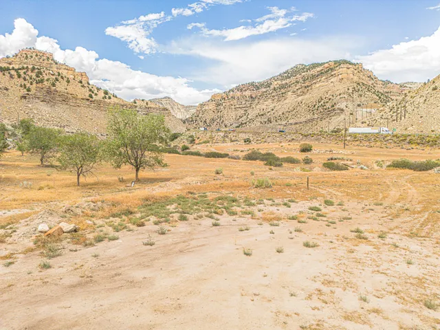 Expansive arid landscape featuring scattered green foliage and distant rock formations