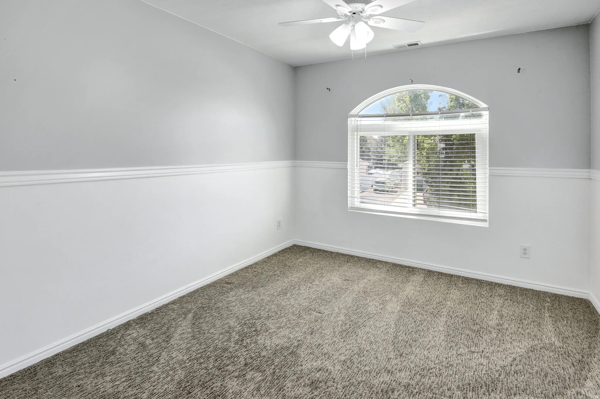 Arched window with blinds, ceiling fan, and carpeted flooring
