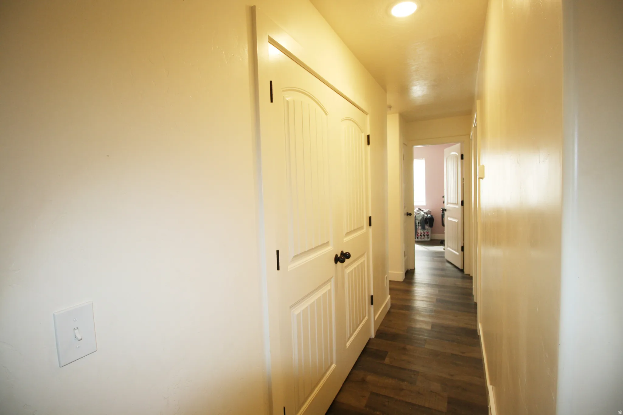 Hallway with wood-finish flooring, recessed lighting, and panel doors