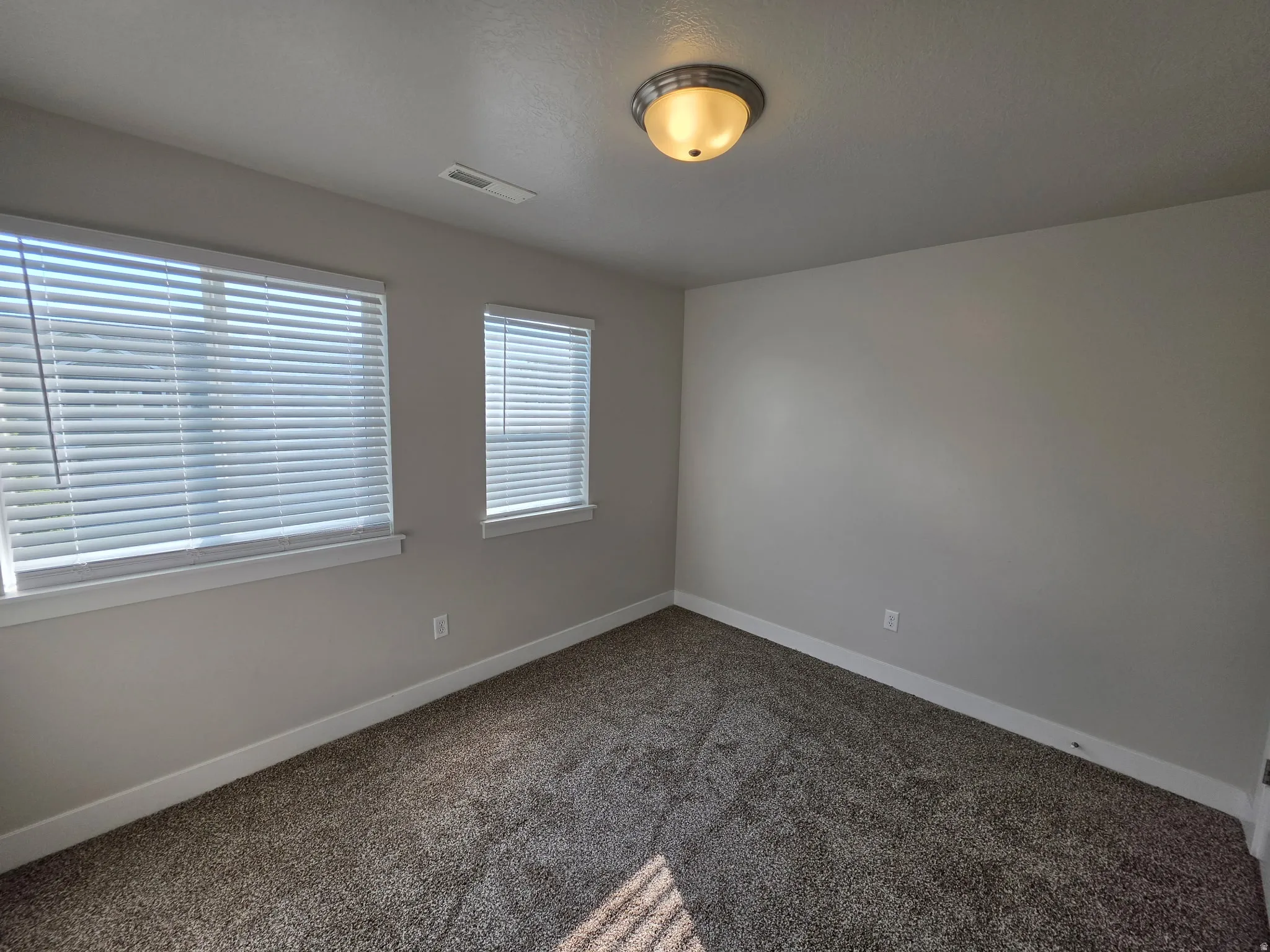 Neutral wall tones with a ceiling-mounted light fixture, two windows with blinds, and textured carpeting