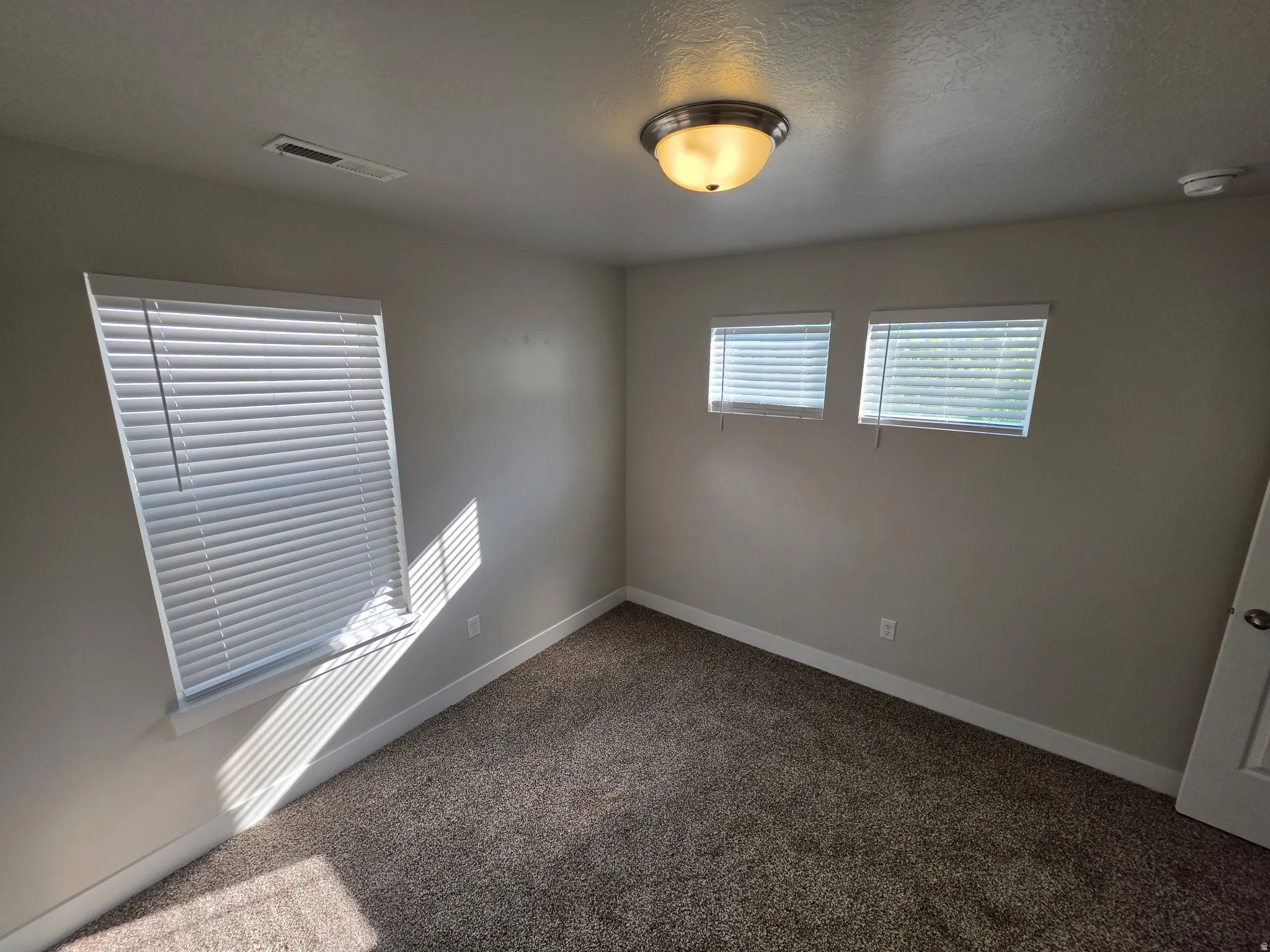 Neutral wall paint, textured carpeting, multiple windows with blinds, and a semi-flush mount ceiling light