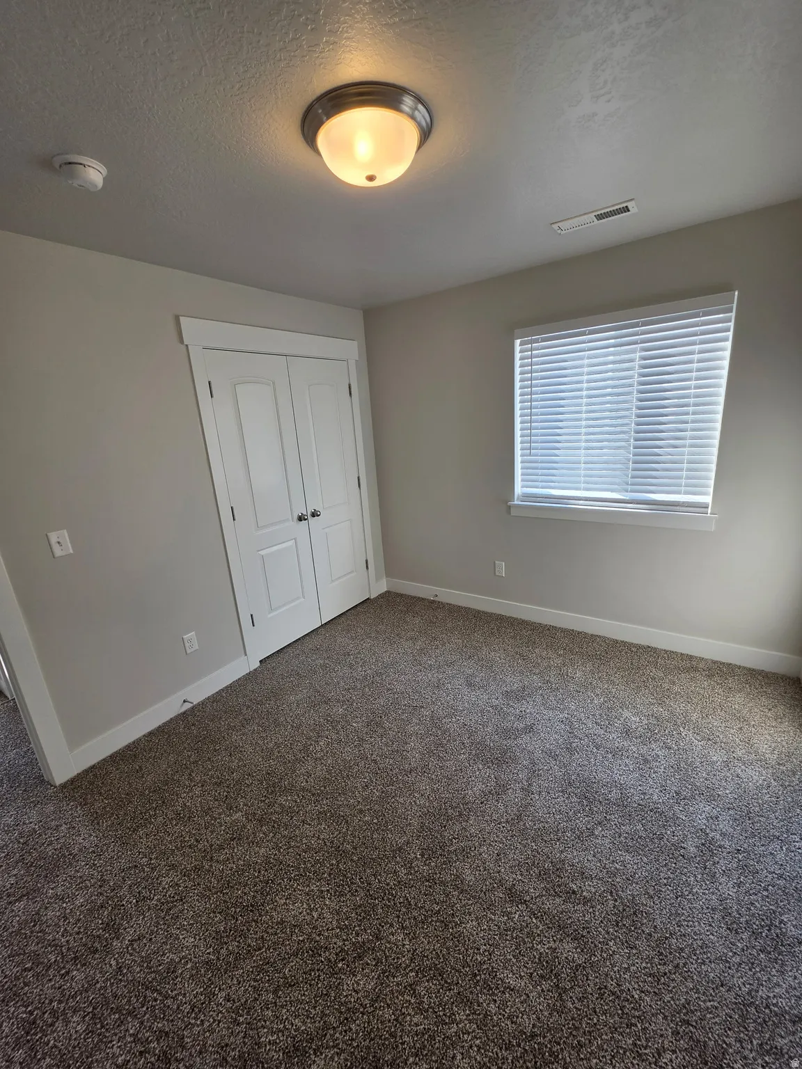 Plush carpeting, neutral wall finishes, double-pane window with blinds, and flush-mount ceiling light